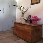 Unterm Schiefen Turm *