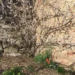 Unterm Schiefen Turm Lejlighed *