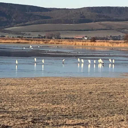 Unterm Schiefen Turm *