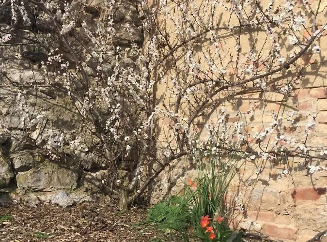 Unterm Schiefen Turm Appartement *