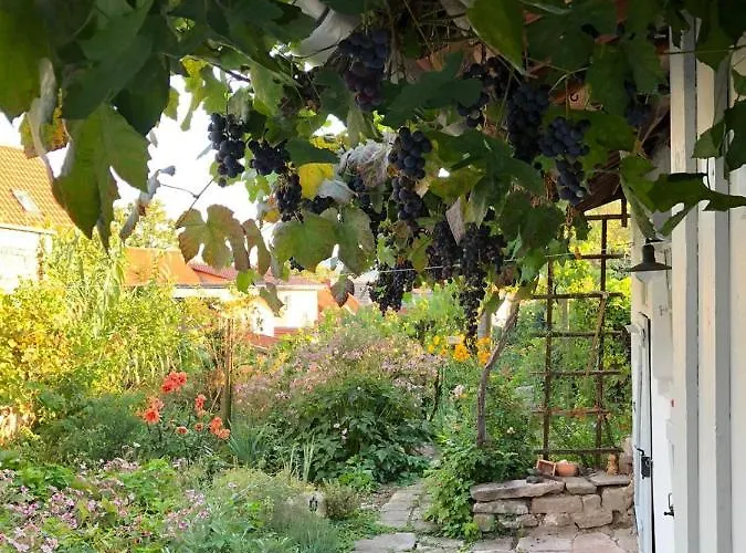 Unterm Schiefen Turm Lejlighed *