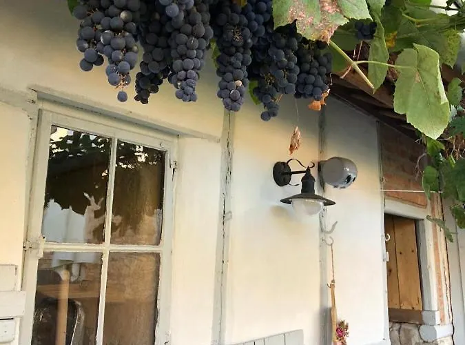 Unterm Schiefen Turm Lejlighed