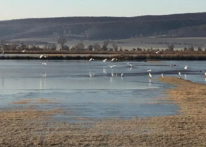 Lejlighed Unterm Schiefen Turm *